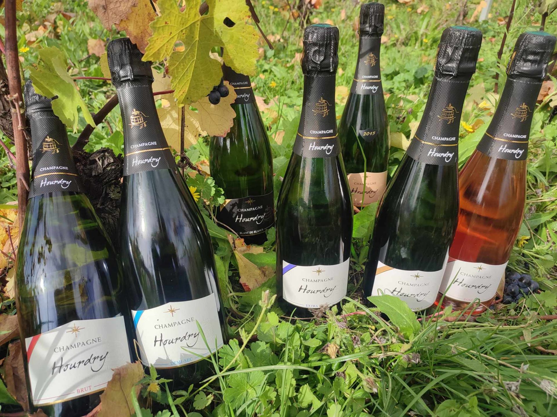 Nos Champagnes – L’expression du terroir et du partage à Nogent l'Artaud