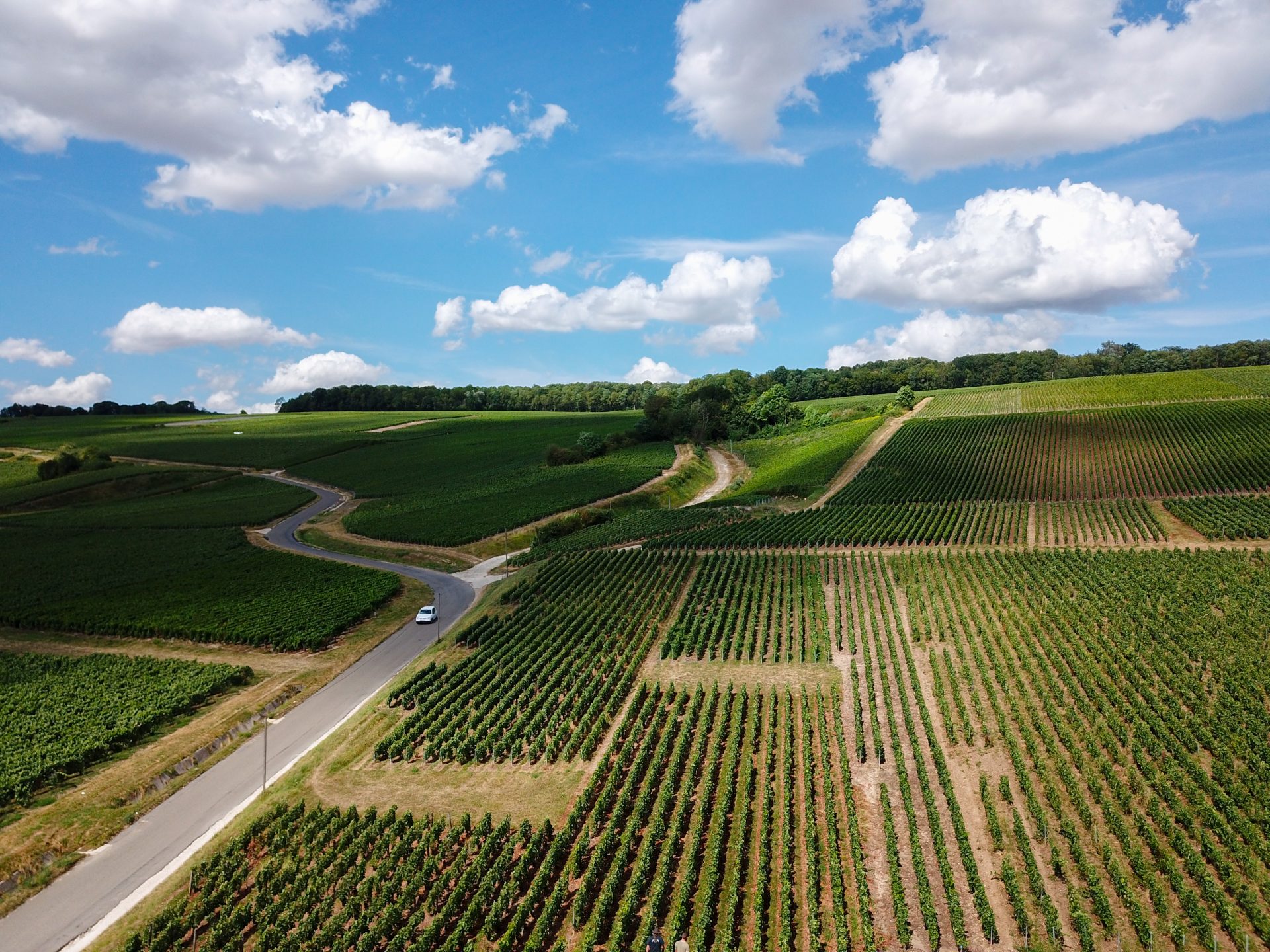 visiter le domaine à Nogent l'Artaud,