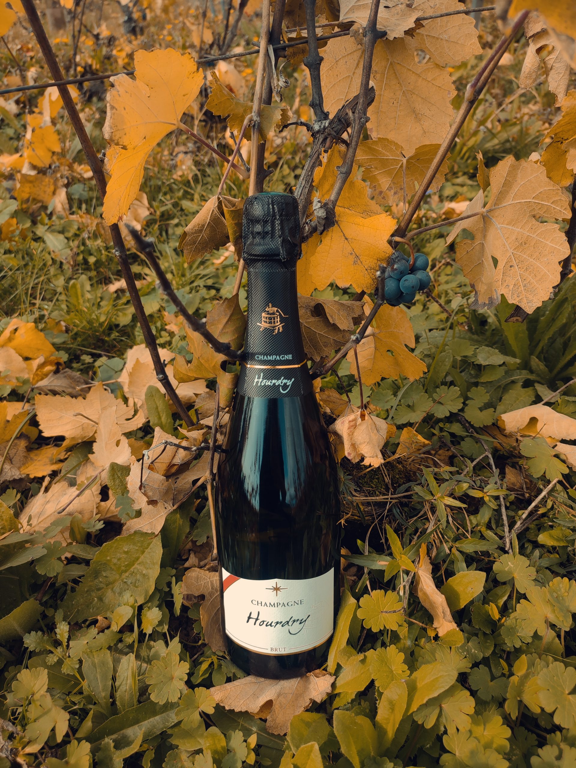 cuvés de champagnes à Nogent l'Artaud,