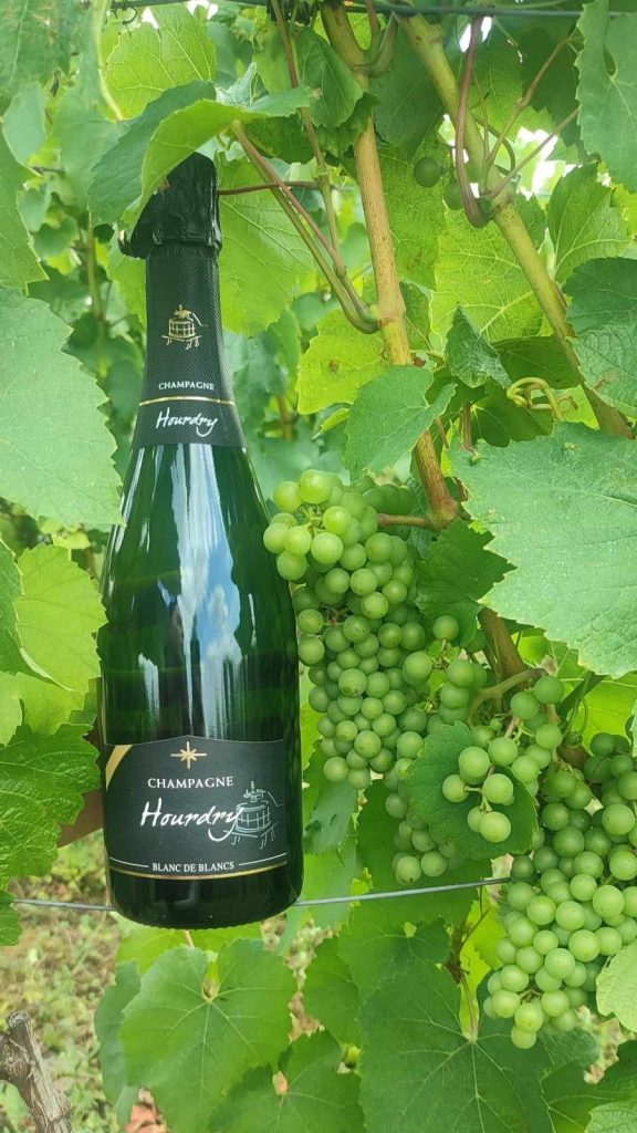 Blanc de Blancs – Légèreté et Elégance