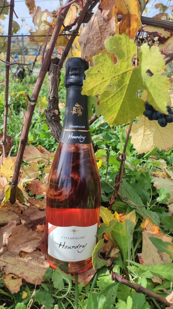 Rosé - Frais et fruité