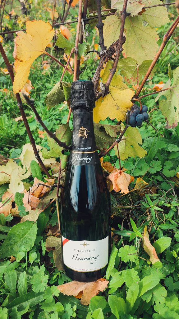 Brut à Nogent l'Artaud